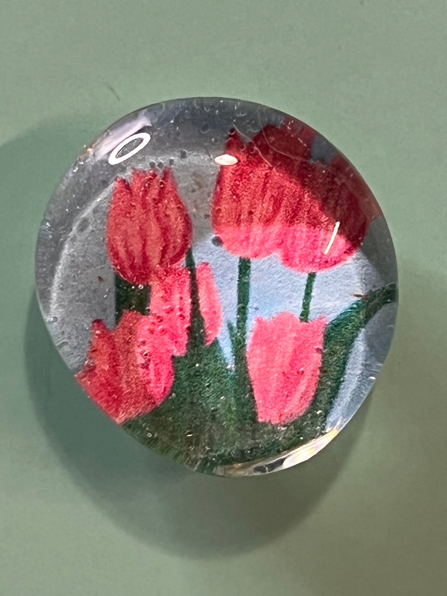 Among the Tulips Magnet Set
