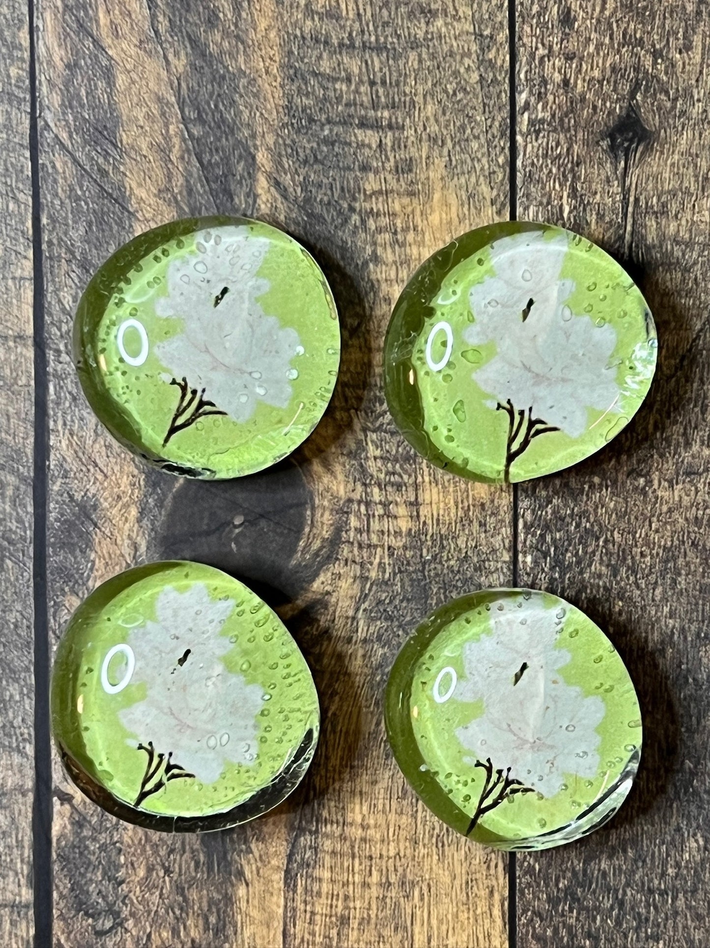 Fresh Magnolia Magnet Set – Set of 4 Glass Gem Magnets