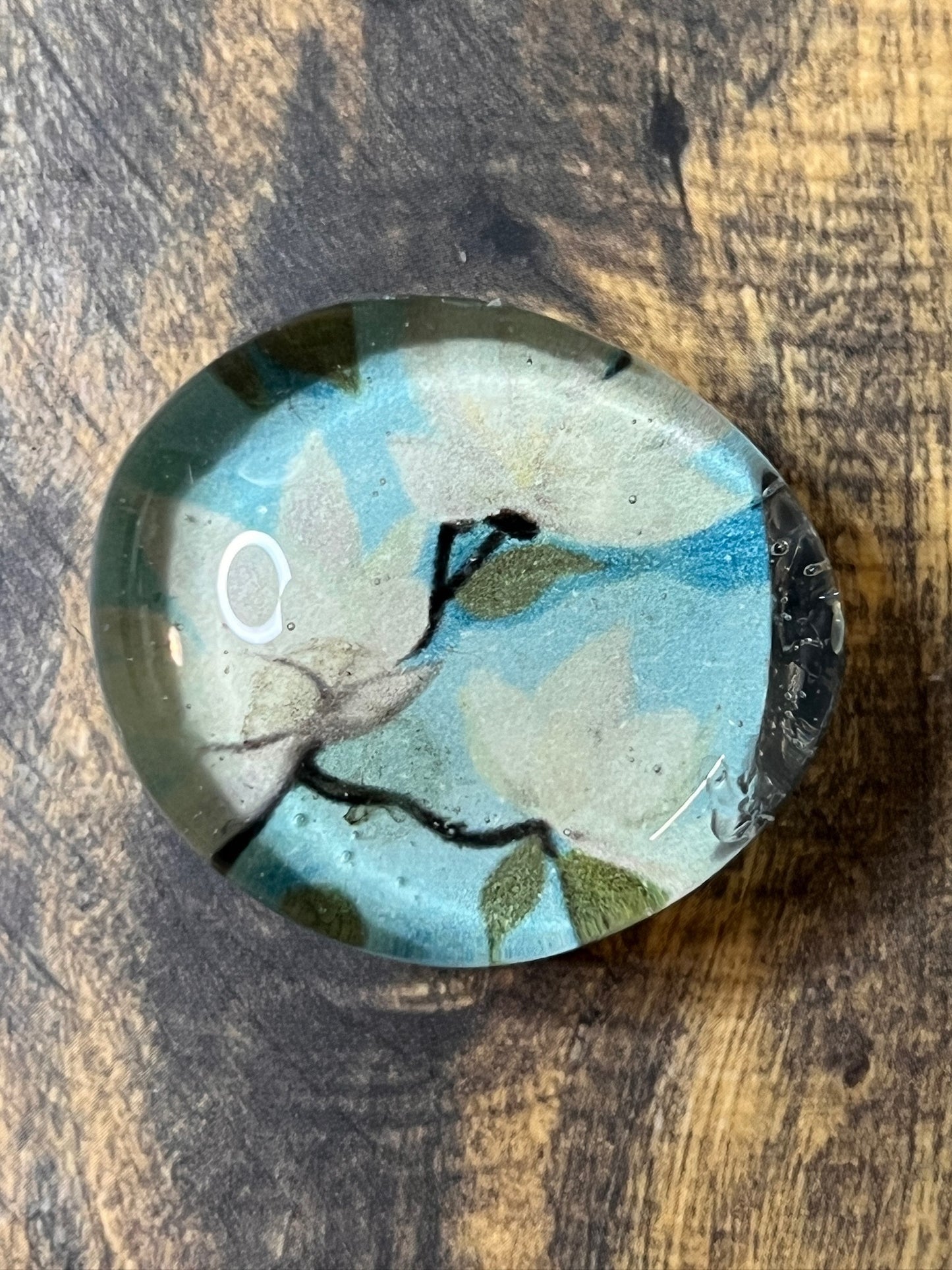 Magnolia Morning Magnet Set – Set of 4 Glass Gem Magnets