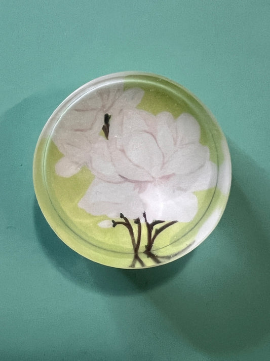 Whispers of Magnolia Magnet Set