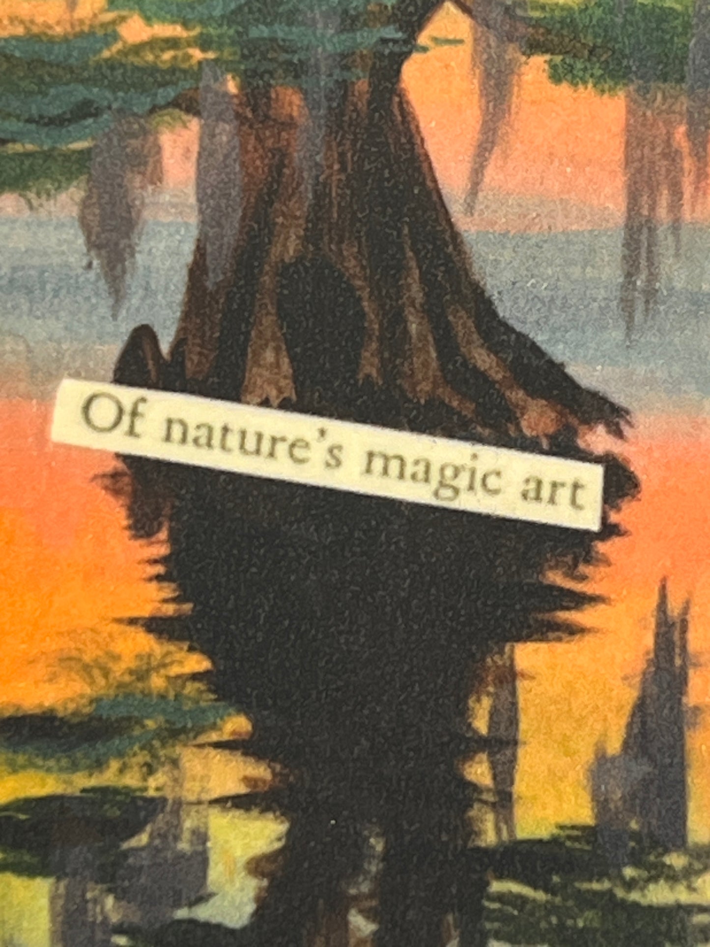 Nature Bookmark – Laminated Sunset Landscape | Gift for Readers | Bayou Cypress Tree