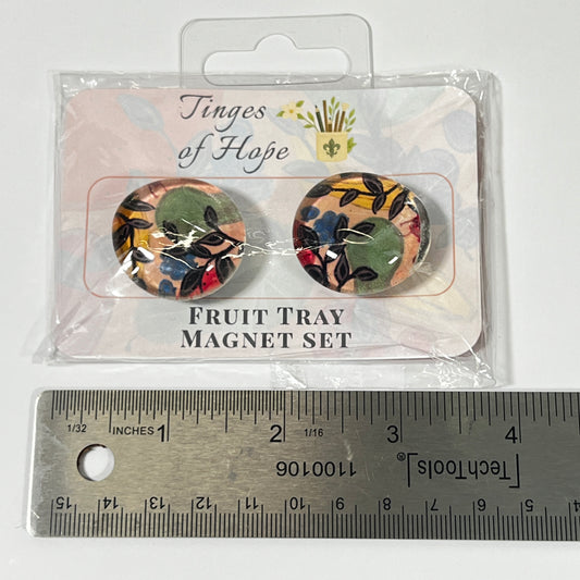 Glass Magnet Set | Fruit Tray | Colorful Kitchen Art Fridge Decor