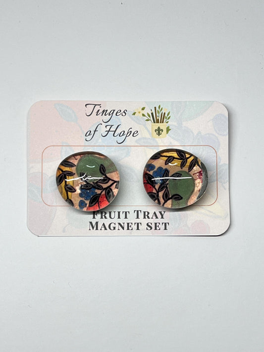 Fruit Tray Magnet Set – Round Glass Colorful Kitchen Art for Fridge & Office